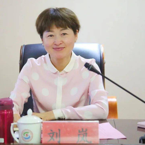 贵阳市原副市长刘岚，严重违反党的政治纪律、廉洁纪律和生活纪律，构成严重职务违法并涉嫌受贿犯罪