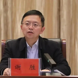 中央巡视期间，谢胜任上被查