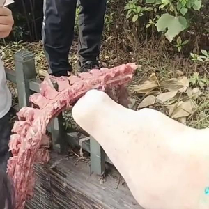 自贡富顺一小学食堂被举报使用劣质肉，官方通报：原辅料已就地封存，正在检验检测