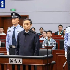 被判无期！张祖林，检举揭发他人重大犯罪行为，有重大立功表现