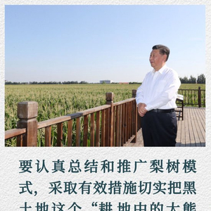 镜观·回响｜像保护大熊猫一样保护黑土地