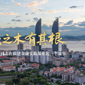 参天之木有其根——习近平同志在福建金融实践探索的三个故事