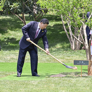 学习进行时｜乘风破浪、勇毅前行——习近平主席推动中国同中亚五国友好合作的故事