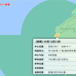 台风“蝴蝶”在海南省东方市八所镇登陆