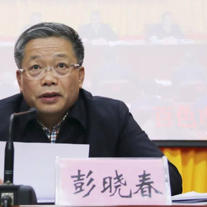 打虎！彭晓春被查