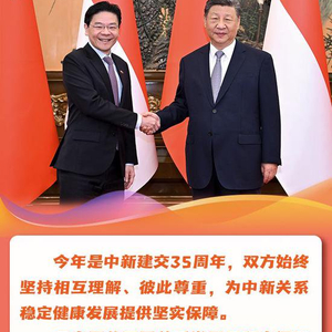 【讲习所·中国与世界】习近平：以更高水平政治互信服务中新关系发展
