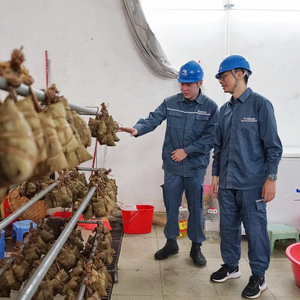 广东端午用电量超61.2亿千瓦时 同比增长近3%