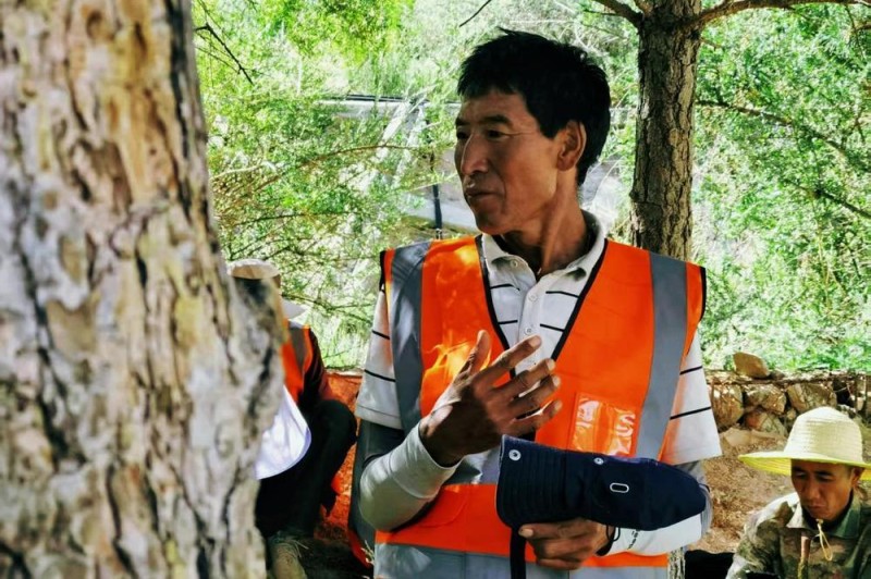 辉煌60载 魅力新西藏丨绿动高原：西藏以生态文明高地创建书写绿色发展新篇章