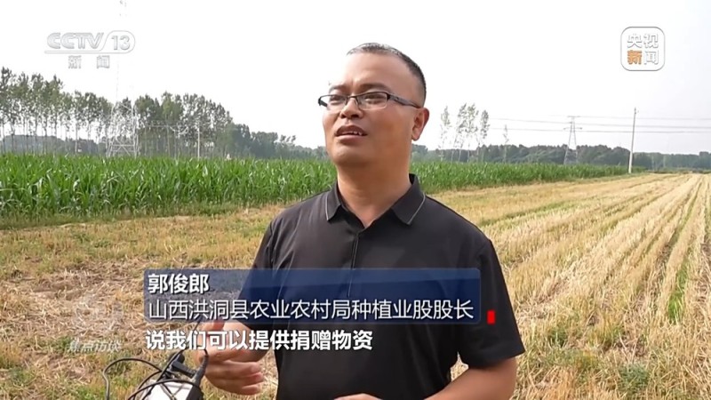 焦点访谈丨“一喷三防”、水肥一体化滴灌 我国夏粮产区抗旱有妙招