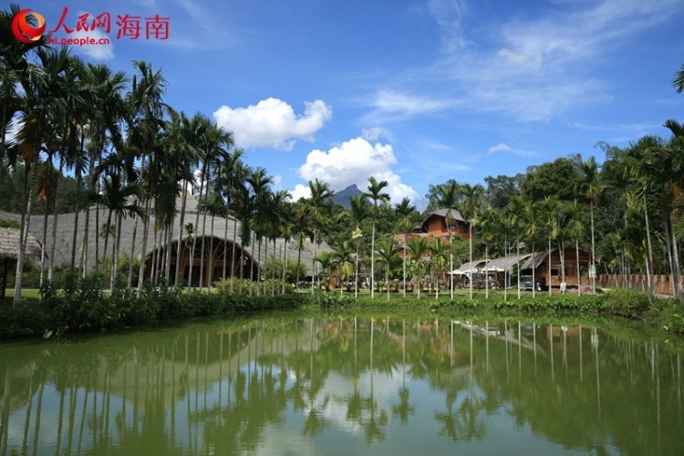 行进中国｜念好文旅经 乡村正振兴