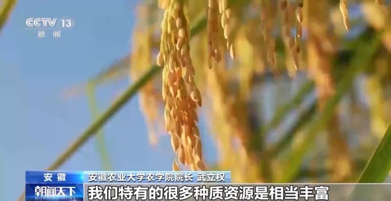 从粮食安全到稀土机密 国家安全法实施十周年带来哪些变化？