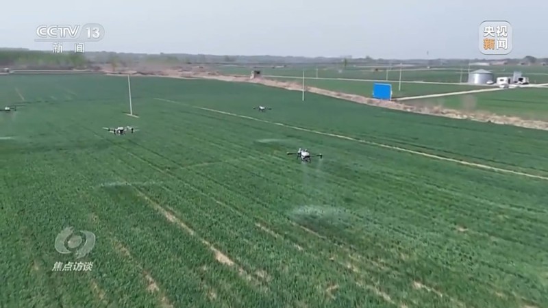 焦点访谈丨“一喷三防”、水肥一体化滴灌 我国夏粮产区抗旱有妙招
