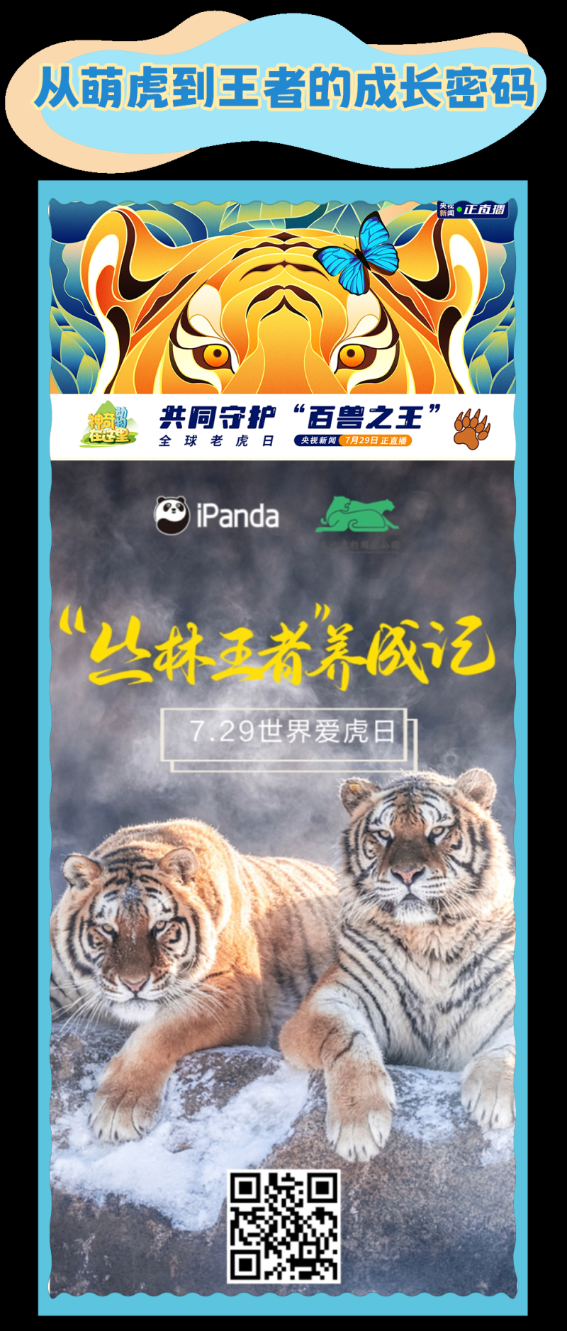 总台周看点丨向前向前向前！