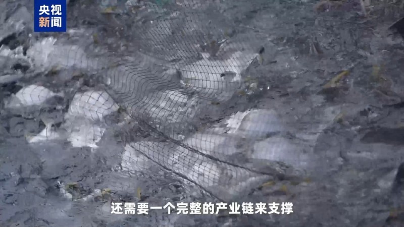 湾区速评丨大湾区发展海洋经济 这件“小事”为何这么关键？