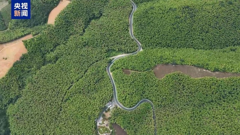 竹乡画廊、浙北山水线……最美农村路成乡村游“最火打卡地”