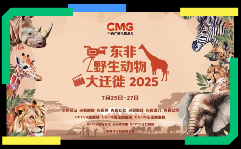 总台周末看点丨夏日舞台，一起精彩！