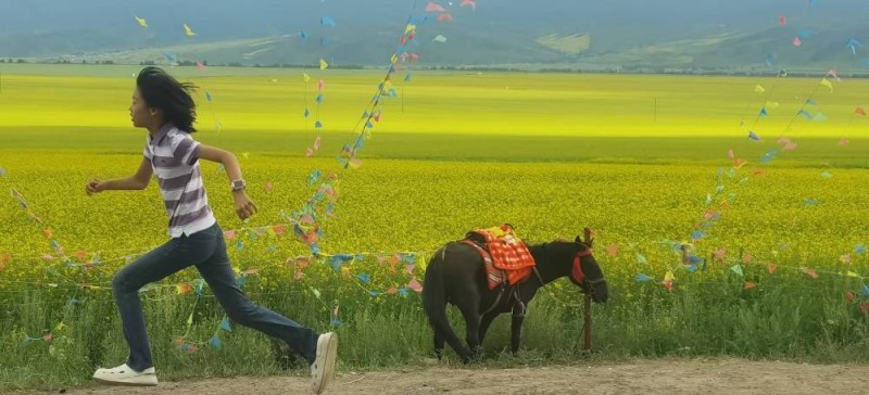 活力中国调研行｜花样乡村高原“盛放”