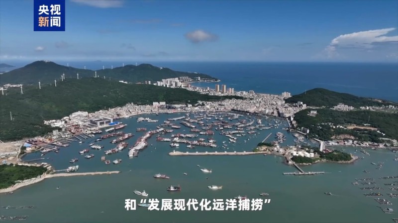 湾区速评丨大湾区发展海洋经济 这件“小事”为何这么关键？