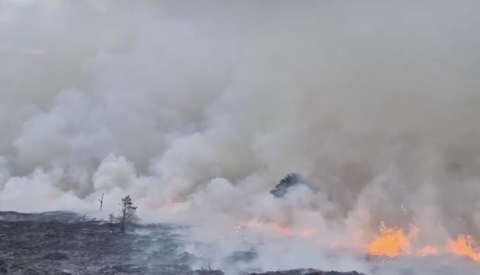 英国苏格兰野火形势“极为严重” 多地道路关闭