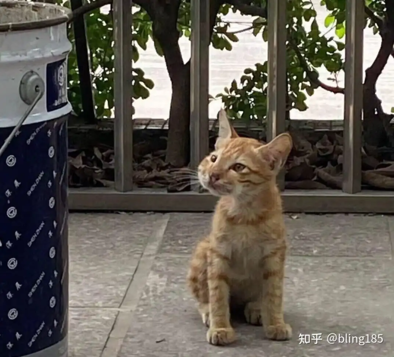 瞎扯 · 你有哪些让人一看就笑死的图片？