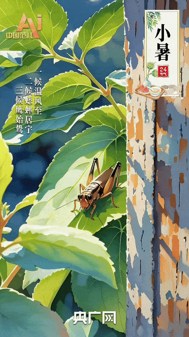 节气里的中国智慧｜暑气渐盛时，邂逅夏日独有的美好
