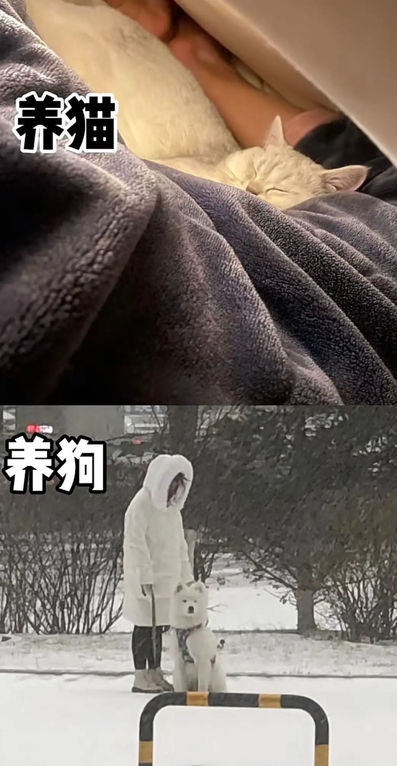 瞎扯 · 可以展示一下你的文玩吗?