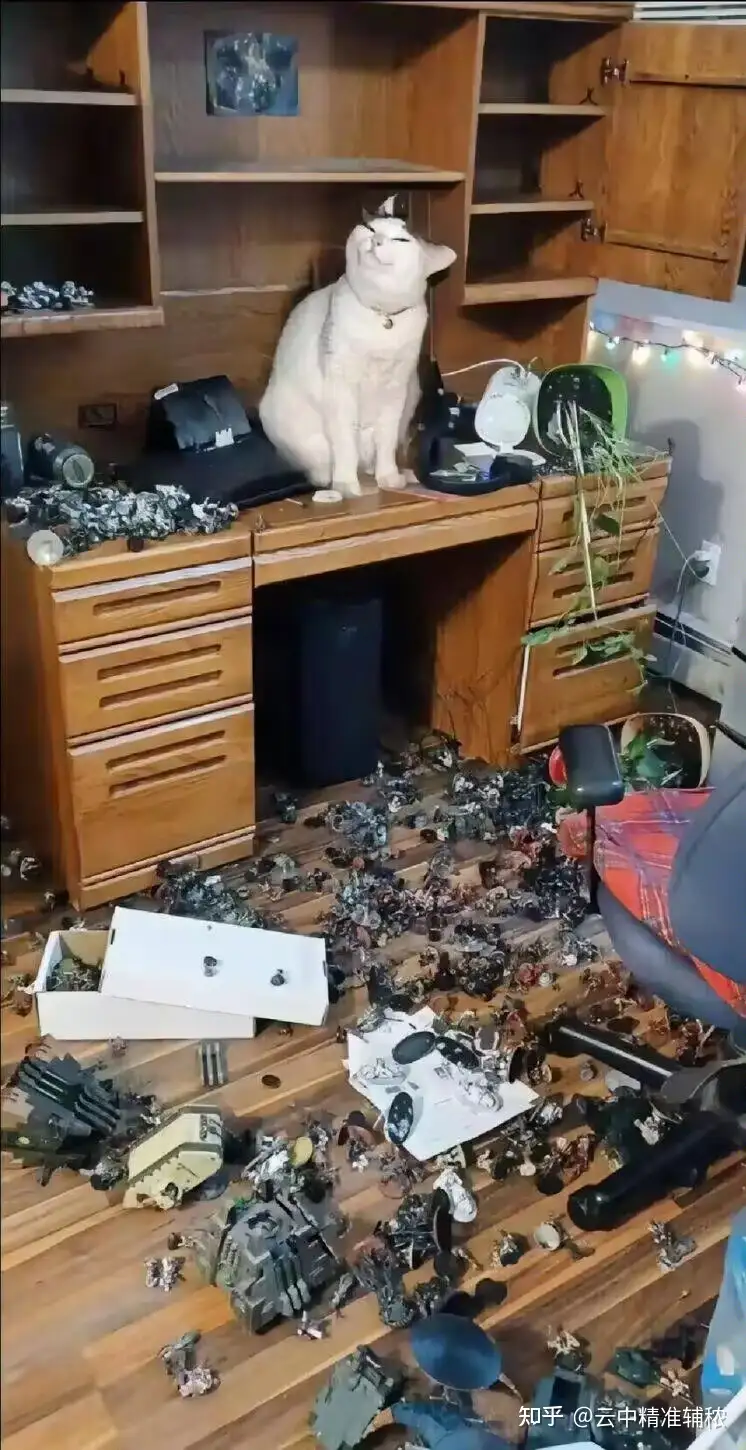 瞎扯 · 律师的生活是怎样的?