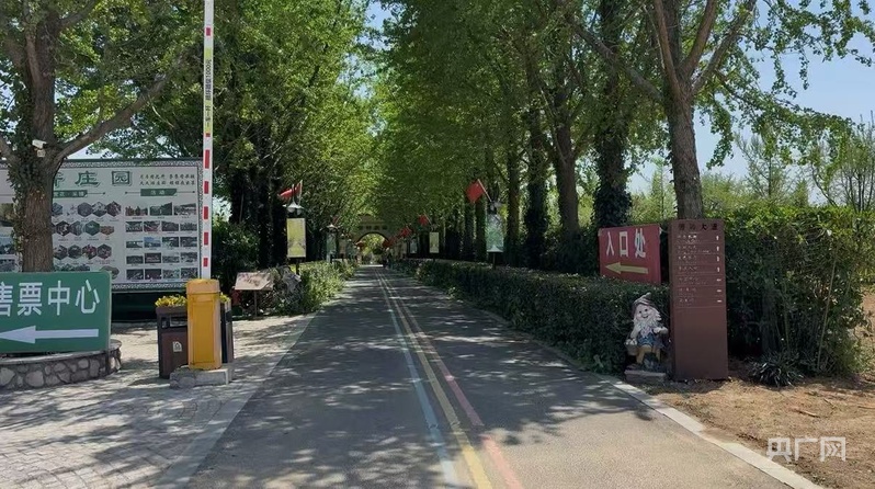 “云养经济”系列报道之二：庄园里的免费“午餐”
