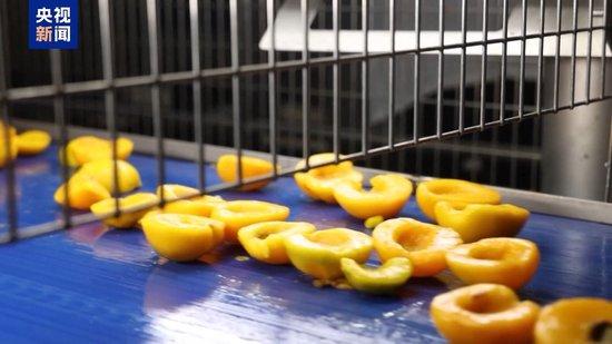 美加征30%关税进入倒计时 欧洲果农酒商担忧产品滞销