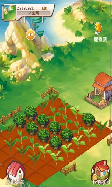 “云养经济”系列报道之三：梦碎“万亩茶海”
