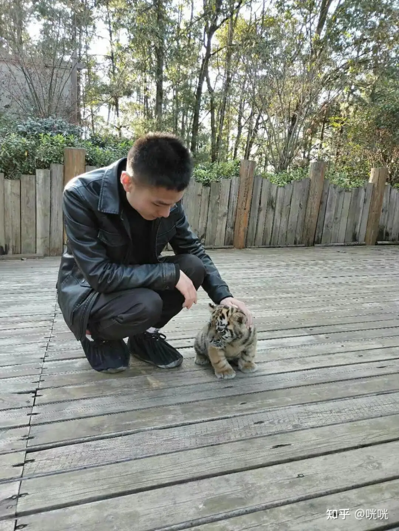 瞎扯 · 有哪些看起来很高端的技术其实原理很暴力很初级？