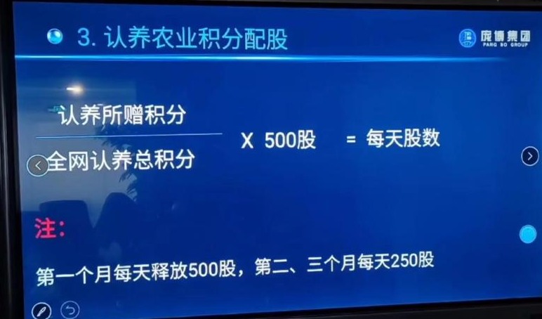 “云养经济”系列报道之四：“认养黑猪”传销骗局调查