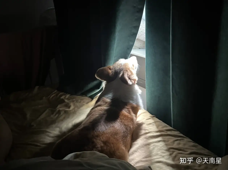 瞎扯 · 有个亲妹妹是什么感觉?