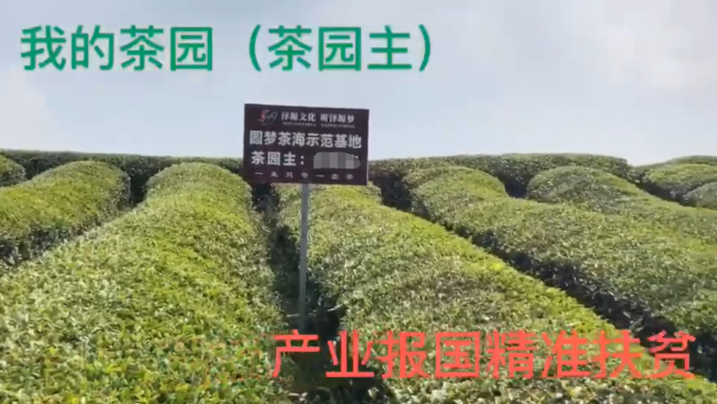 “云养经济”系列报道之五：“云养经济”骗局频发背后