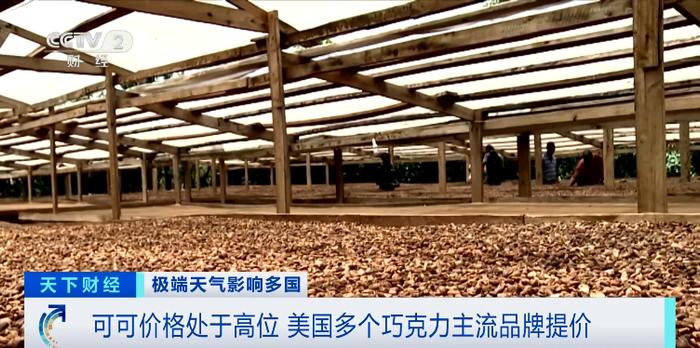可可价格飙涨121%！三大巨头集体宣布涨价