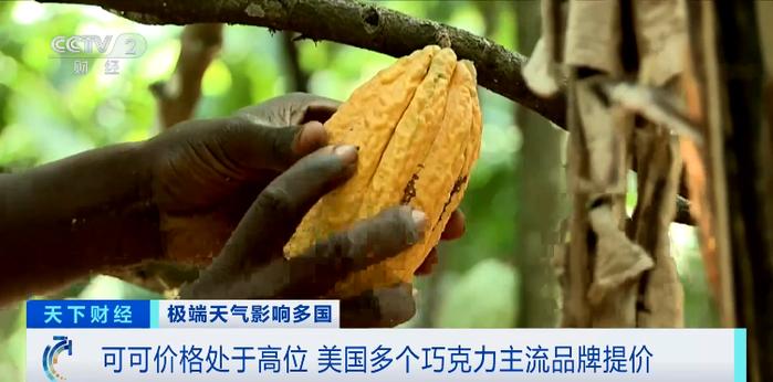 可可价格飙涨121%！三大巨头集体宣布涨价
