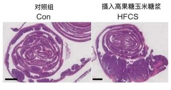 特朗普配方,被拒了?
