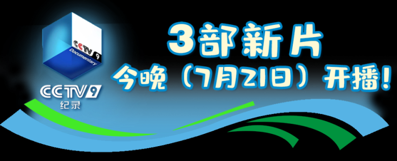 总台周看点丨暑极万物盛！