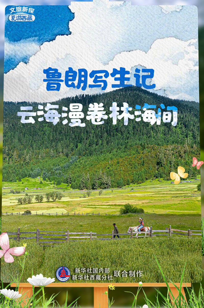 文旅新探・夏游西藏｜鲁朗写生记：云海漫卷林海间