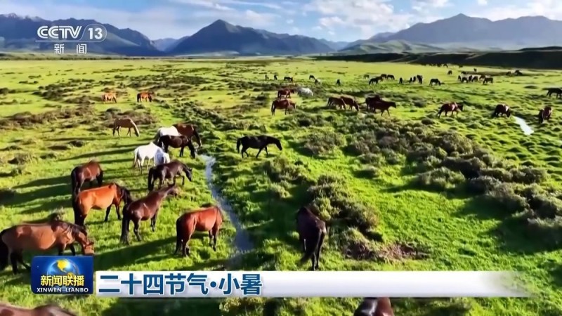 文化中国行丨二十四节气・小暑 感受节气里的自然律动