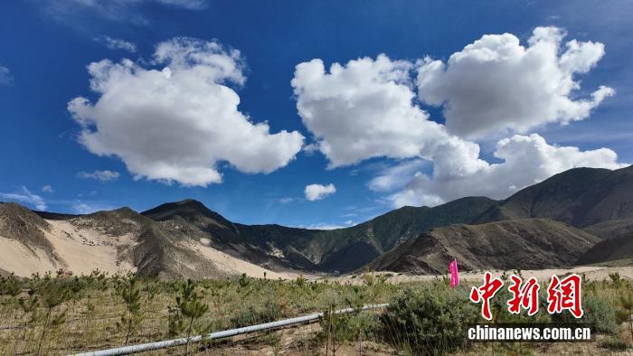 辉煌60年・我们的家园丨“像养孩子一般种树”：各民族团结奋斗，以心血浇灌生态奇迹
