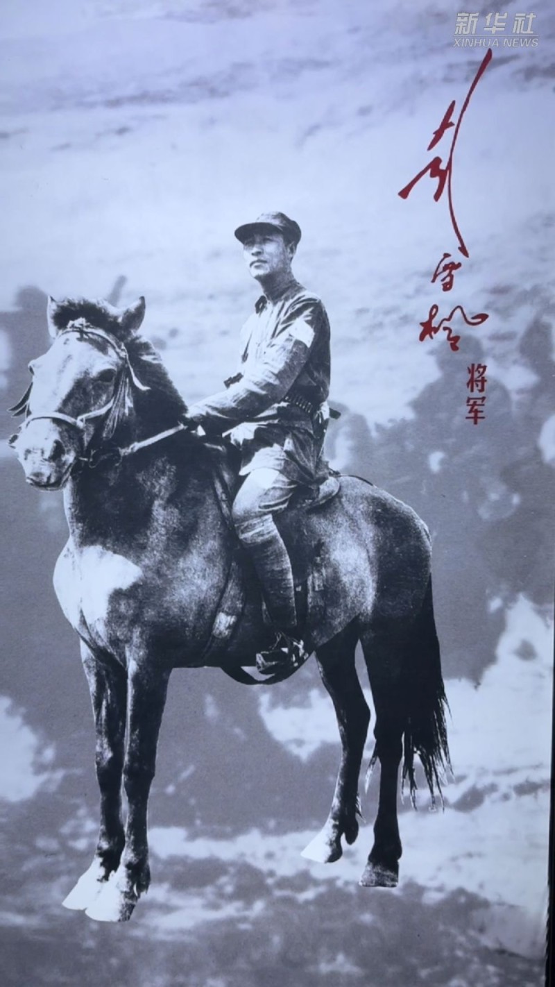 抗战英雄浩气长存｜彭雪枫・跨马征战场 下马笔如椽