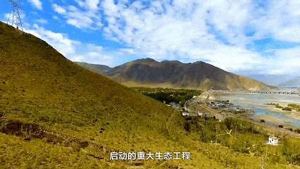 备好小马扎 共赴拉萨南北山“植”旅