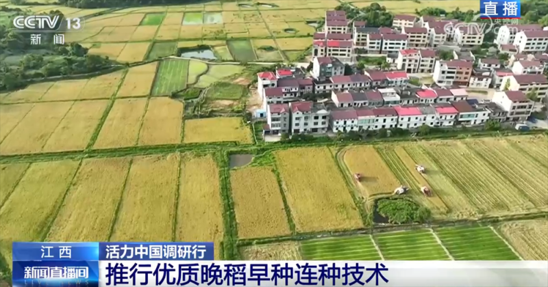 良机良种良技绘就早稻好“丰”景 “新农人”正逐渐成为“兴农人”