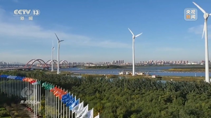 焦点访谈丨从理念到行动，中国的生态实践为世界提供绿色转型样本