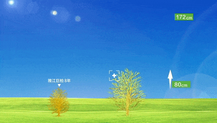 备好小马扎 共赴拉萨南北山“植”旅