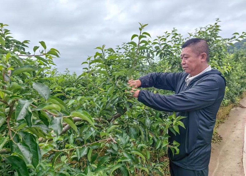 铭记历史 缅怀先烈丨烽起“磐石”传薪火――东北抗联创建地的振兴新篇