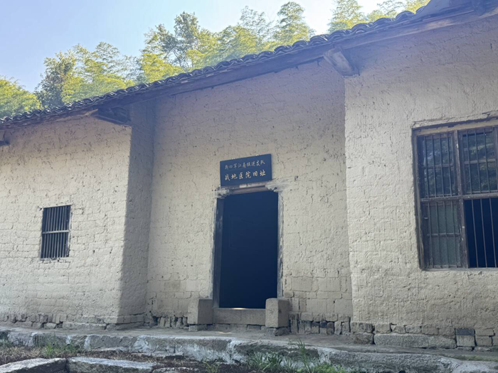铭记历史 缅怀先烈丨千年银杏树下的红色记忆