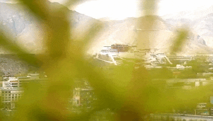 备好小马扎 共赴拉萨南北山“植”旅