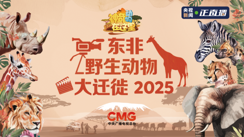 总台周看点丨暑极万物盛！